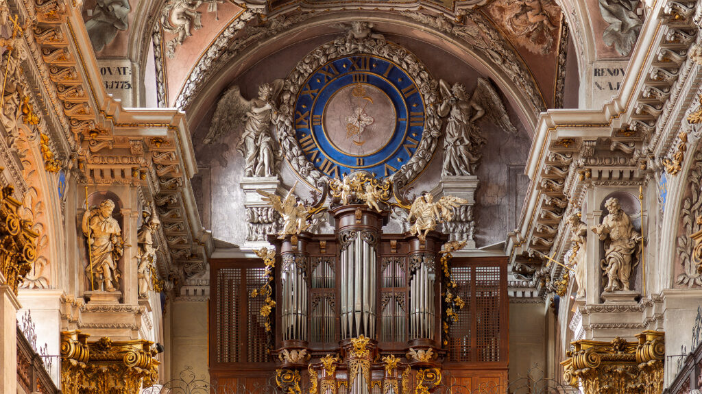 organs